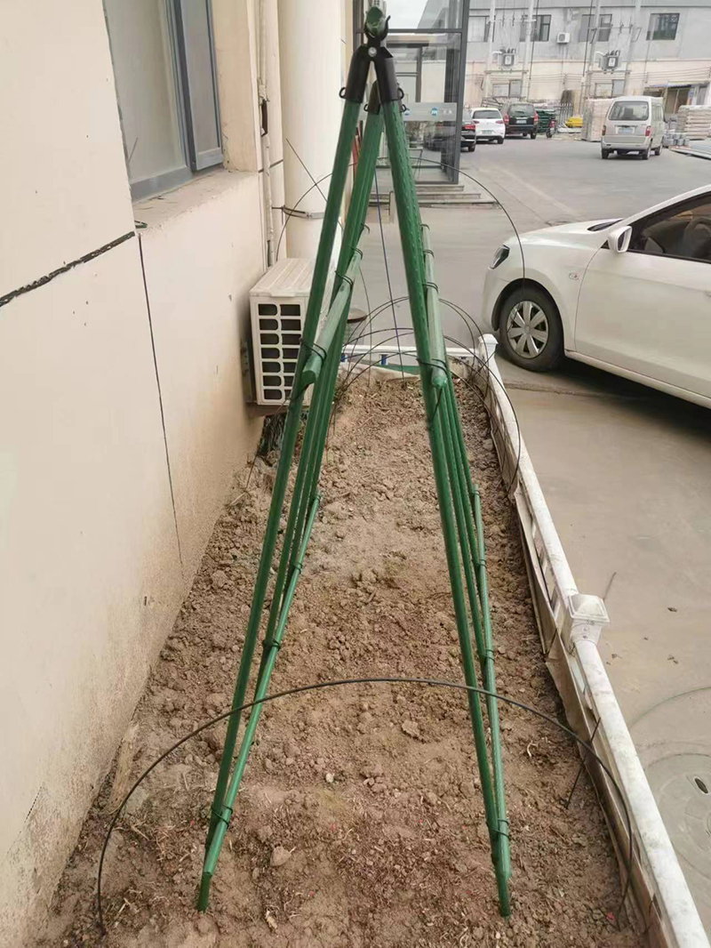 珠海包塑鋼管爬藤支柱